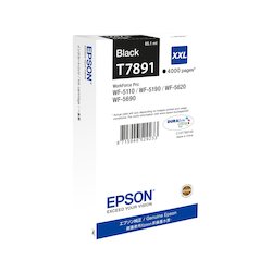 Epson Ink Cartr. T7891 Black