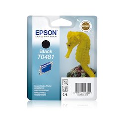 Epson T048 BLACK BR FOR R300