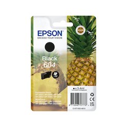 Epson Singlepack Black 604 Ink
