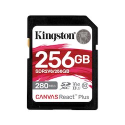 Kingston Standaard SD 256GB...